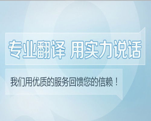 軟件開發相關英文文獻翻譯 沈陽專業服務公司的關鍵角色