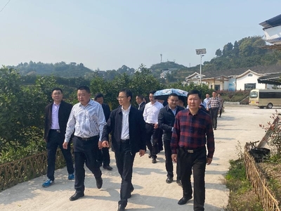 瀘州市委統戰部赴合江縣調研涉臺產業發展，聚焦稻谷產業合作與鄉村振興